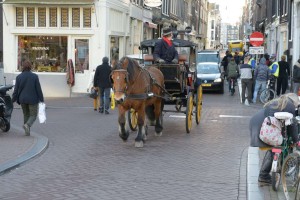 DSC_0413_048jpg.groot.auroraDSC_0413