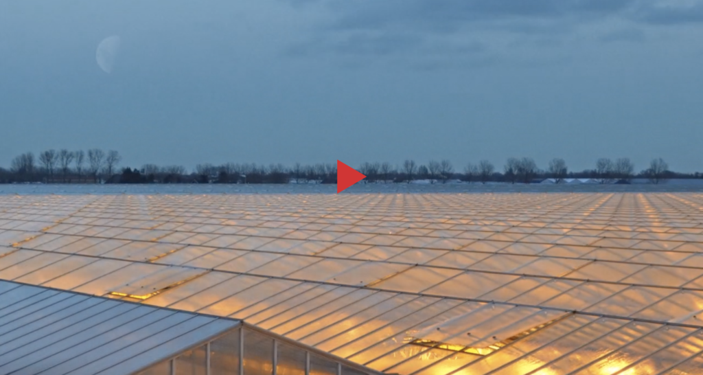 Schermafbeelding 2019-09-26 om 23.04.44