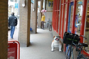 compo#6_218jpg.groot.auroracompo#6