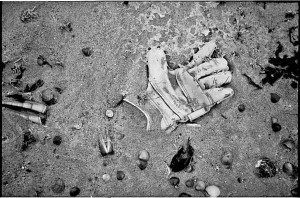 ferryuvandenbemd;handsch3