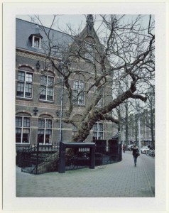 ferryvandenbemd;boomsteun
