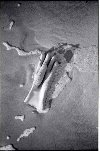 ferryvandenbemd;hand8a