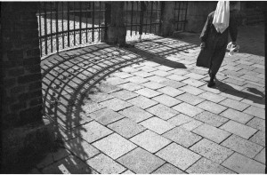 ferryvandenbemd;non muc