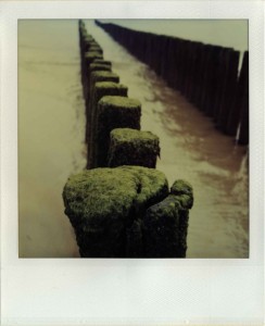 ferryvandenbemd;palen 3