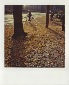 ferryvandenbemd;roeterstraat;geleblaadjes