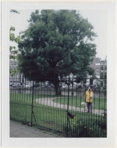 ferryvandenbemd;schijthond