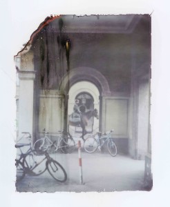 ferryvandenbemd;transFer;paard