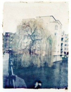 ferryvandenbemd;treurwig transFER