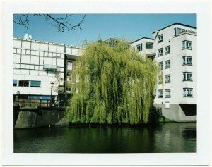 ferryvandenbemd;zomerwilg