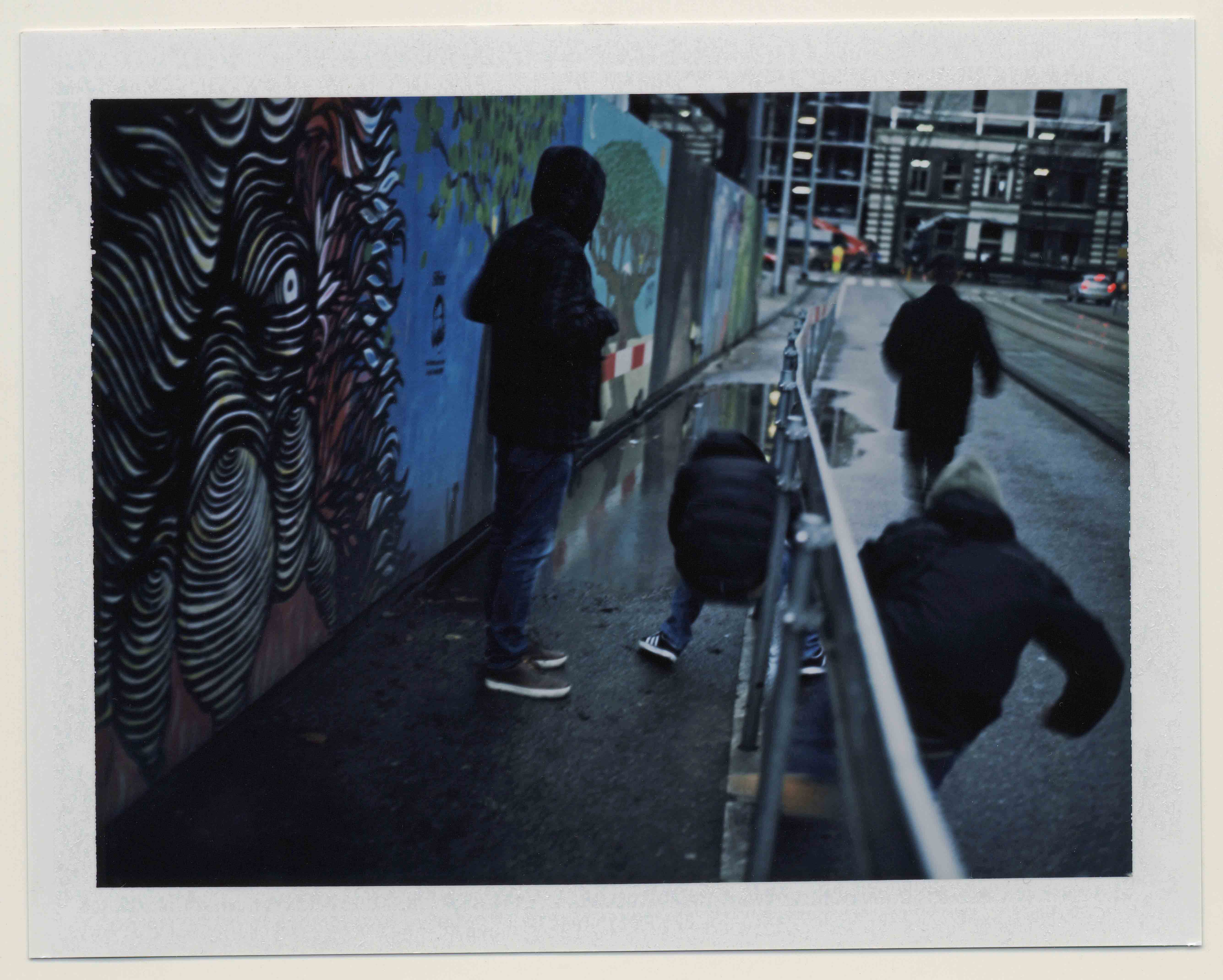 fvdbemd;nov2015regenplas