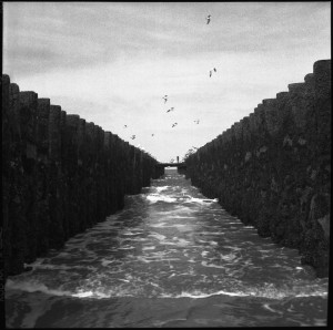 paalenvogels,strand2013+