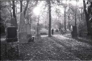 park met graven,muc 2012