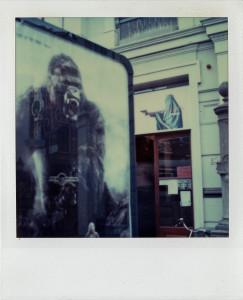 sx70.gorilla.abri