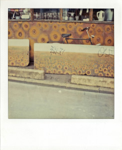 sx70,zonnebloem+1+